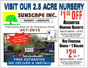 Sunscape (Ad)