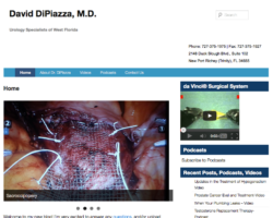 David DiPiazza Website Dr DiPiazza (Website)
