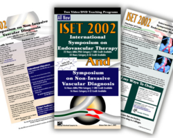 ISET Brochure Endovascular Therapy (Brochure)