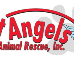 Lost Angels Animal Rescue Logo Lost Angels Animal Rescue (Logo)