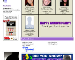 SLSC Newsletter Email Campaign CCL Designs eBlast