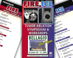 Fire & Ice Brochure Tumor Ablation (Brochure)