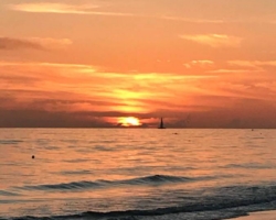 Sunset Sunset