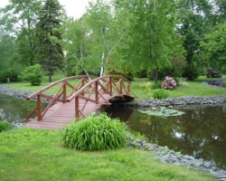 Bridge in a Cemetery Bridge in a Cemetery