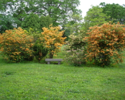 Cemetery Bench Photograph Cemetery Bench